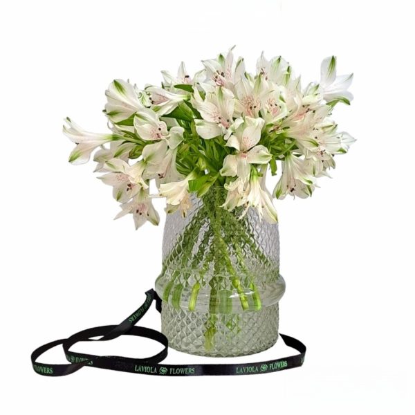White Alstroemeria Vase