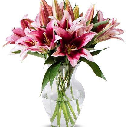 Vase of Ten Pink Lilies