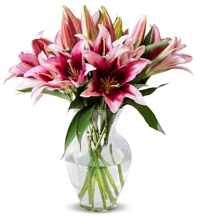 Vase of Ten Pink Lilies