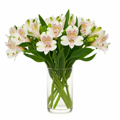 White Whisper Vase