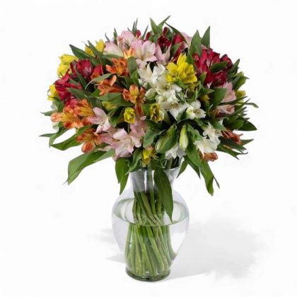 Radiant Rainbow Alstroemeria Vase