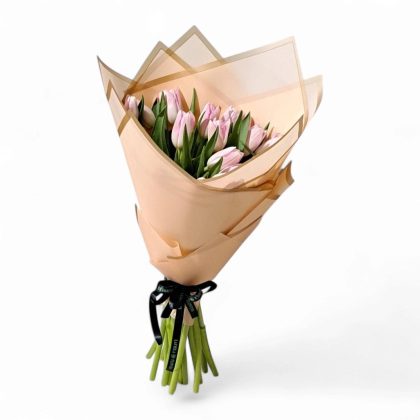 Baqat Hams Al-Tulip Al-Wardi