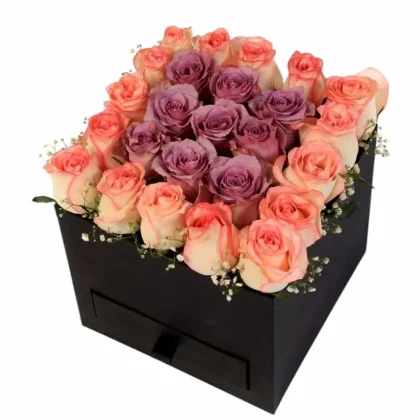 Elegance Box
