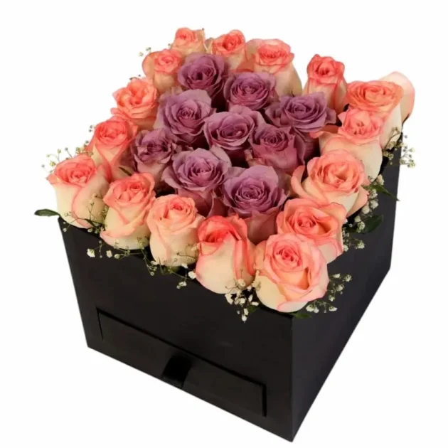 Elegance Box